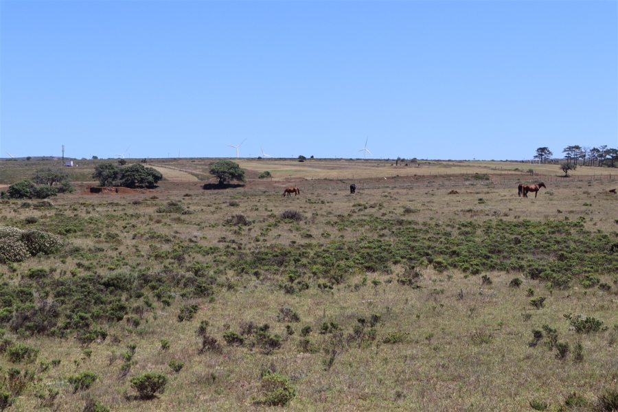 Commercial Property for Sale in Wavecrest Eastern Cape